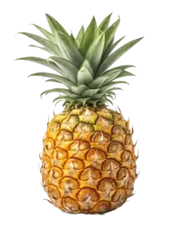 Imagen PNG para descargar